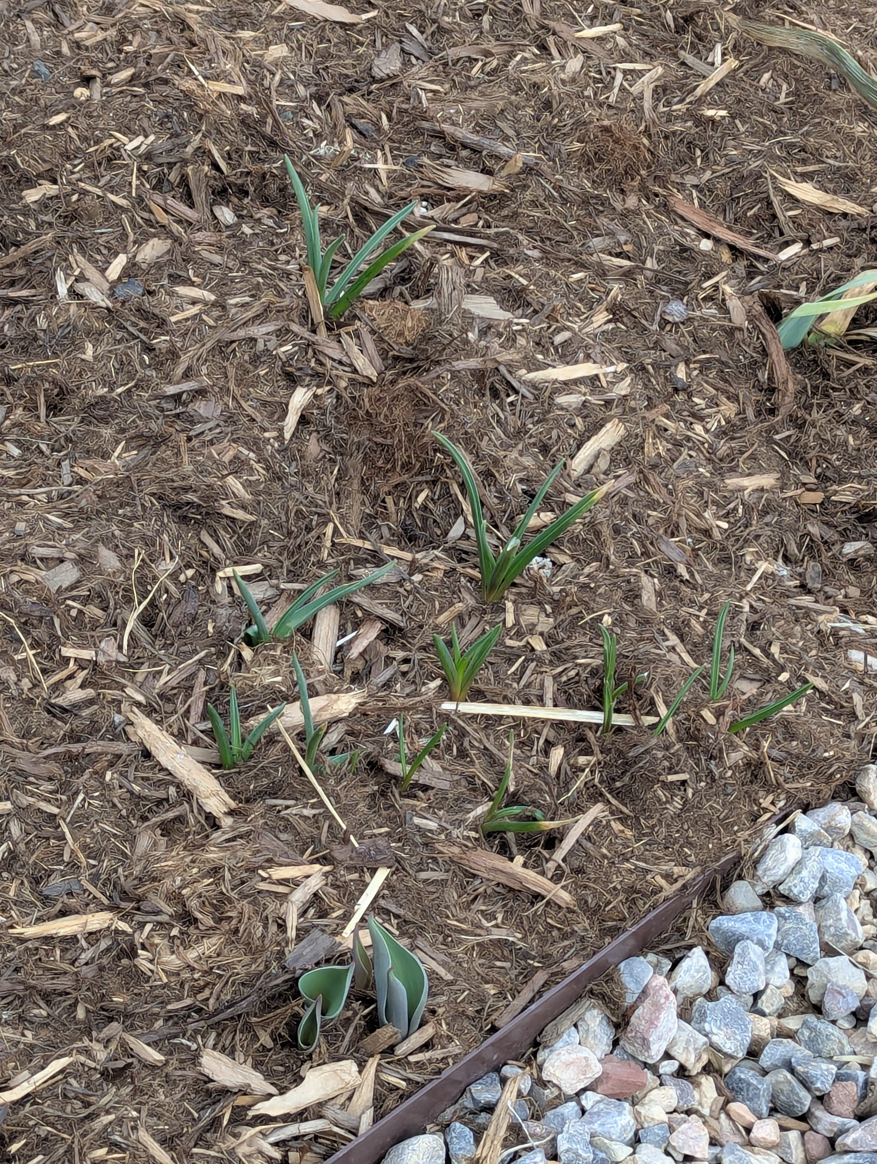Garden, Morrison, Colorado